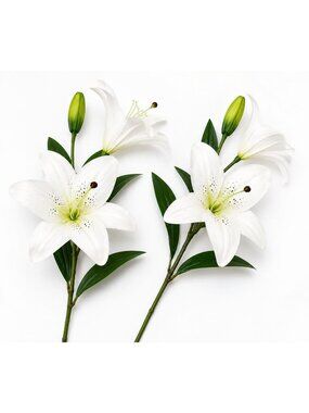 Real Touch White Lily Stems Set of 2, Artificial Lily Flowers, Faux Floral Stems